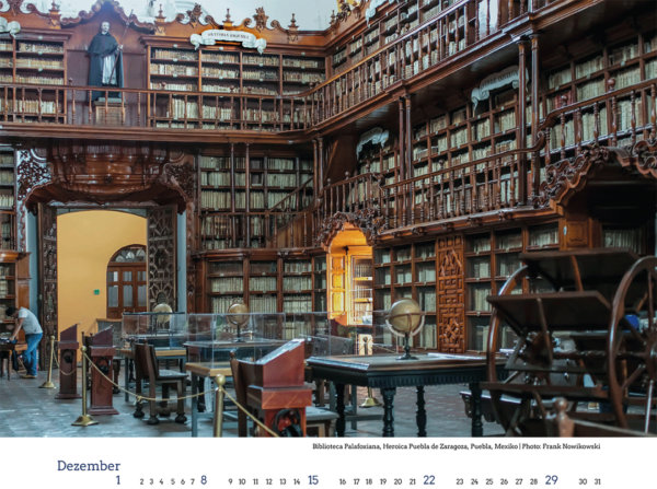 blickwinkel bibliothek 2024 – Bild 13